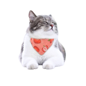 Pet Bandanas