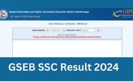 रिजल्ट – गुजरात बोर्ड: लंबे इंतजार के बाद गुजरात बोर्ड (GSEB) ने आज 10 वीं का परिणाम घोषित कर दिया।